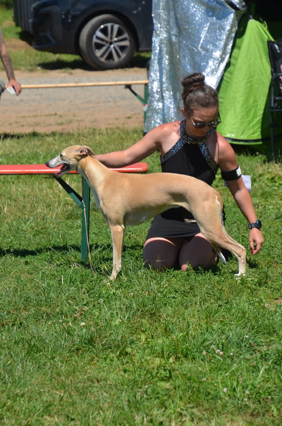 Les Reines de Gaume préparent leur royaume